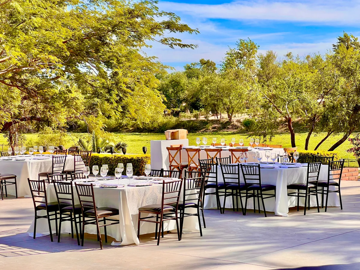 Montaje al aire libre con mesas redondas y sillas Tiffany en jardín